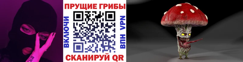 Галлюциногенные грибы Psilocybine cubensis OMG рабочий сайт Кузнецк